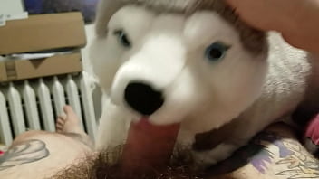 Blowjob From My Plushie Husky And Finished With A Masturbation free video