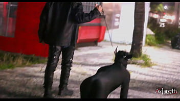 Master Takes His Pet Dog For A Walk In The City. P1 free video