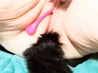 Bbw Pretty Milf With Kitten Tail Buttplug And Lush3 Spreads Pussy And Plays With Hitachi free video